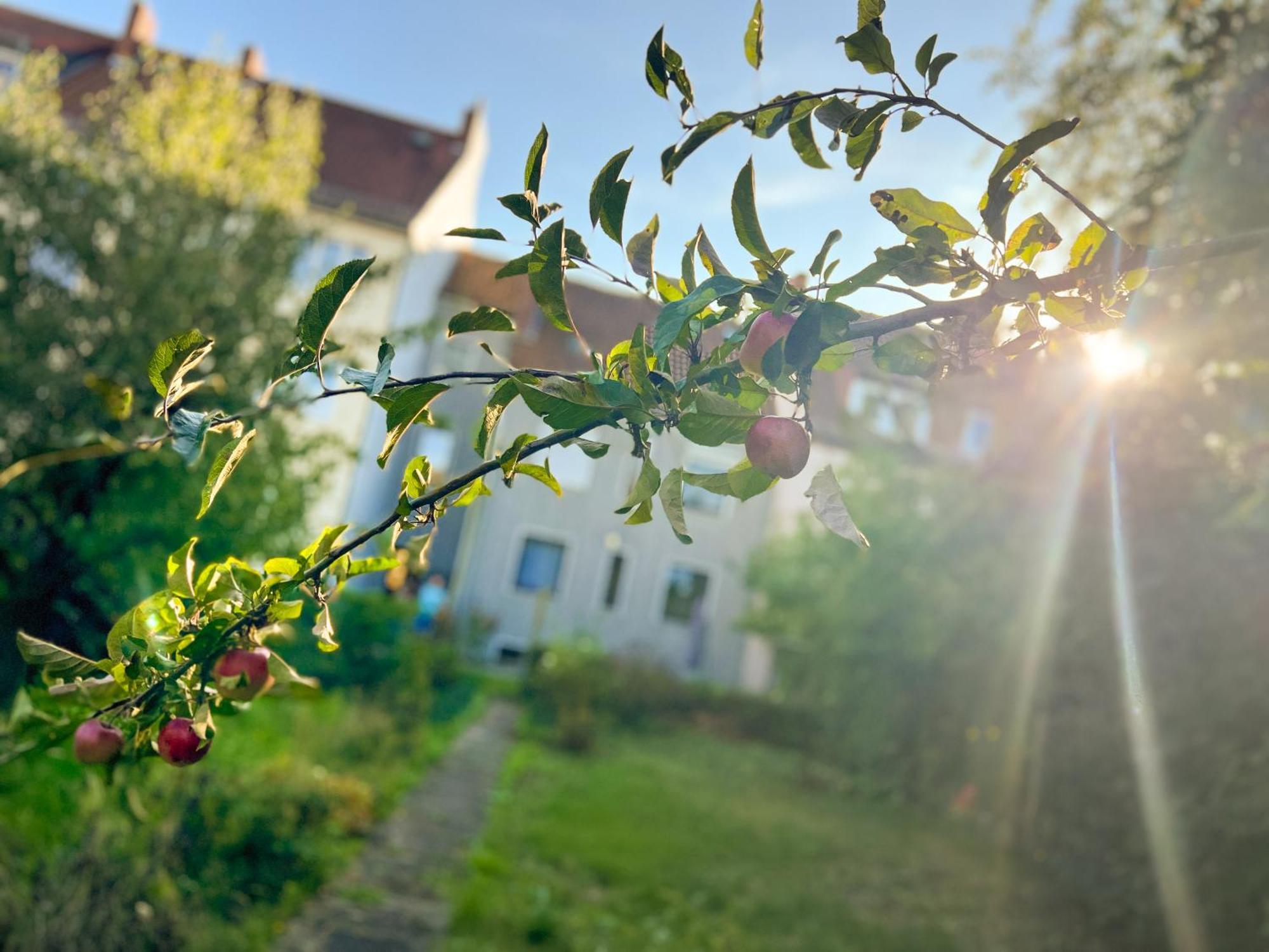 Immostay #8 - Haus Fuer 13 Personen Mit 7 - Grosser Garten & Grill, Free Parking, Wlan